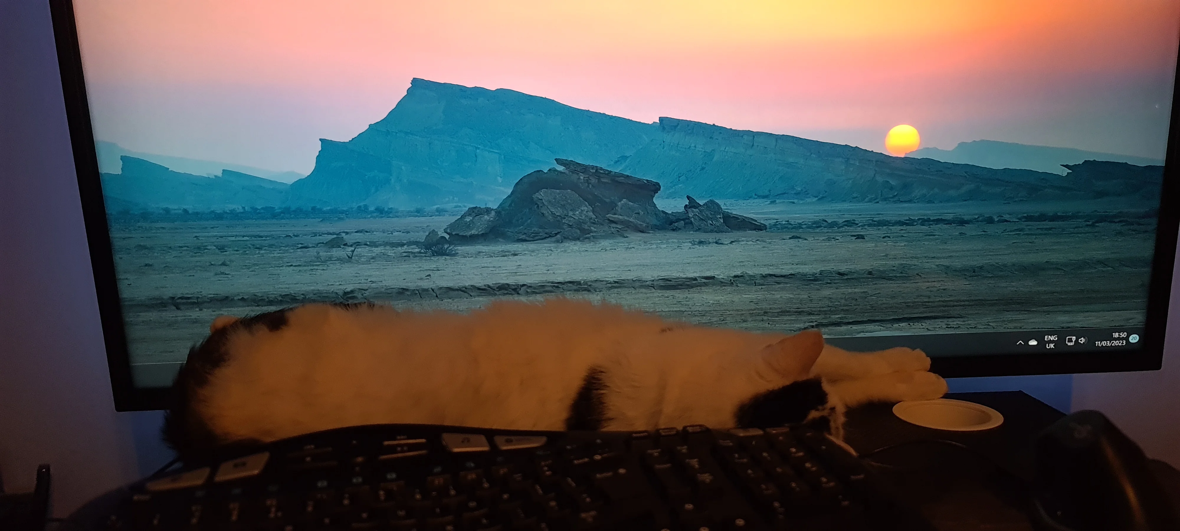 WqZNmgk.webp