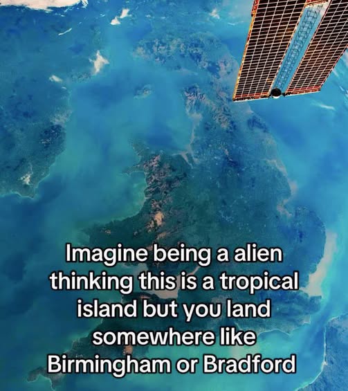 x54xlin.jpeg