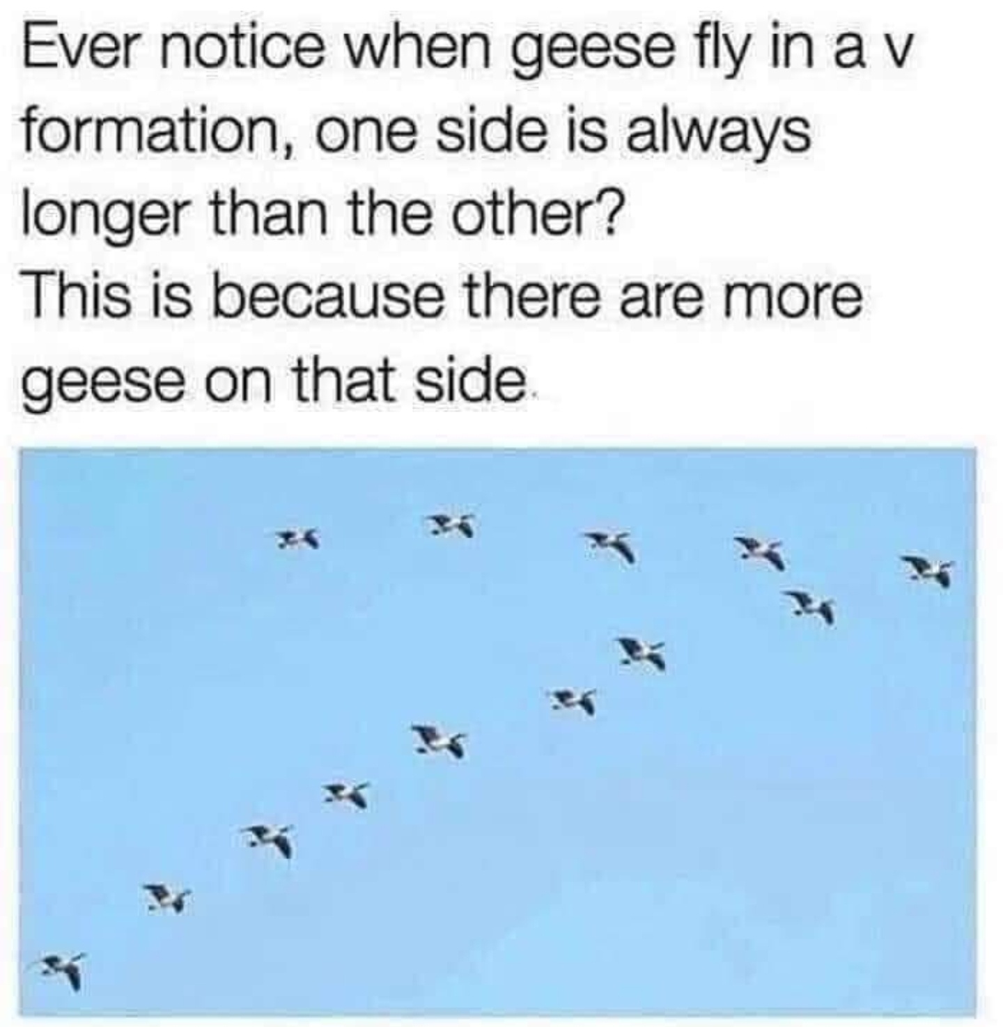 xKnMDJs.jpeg