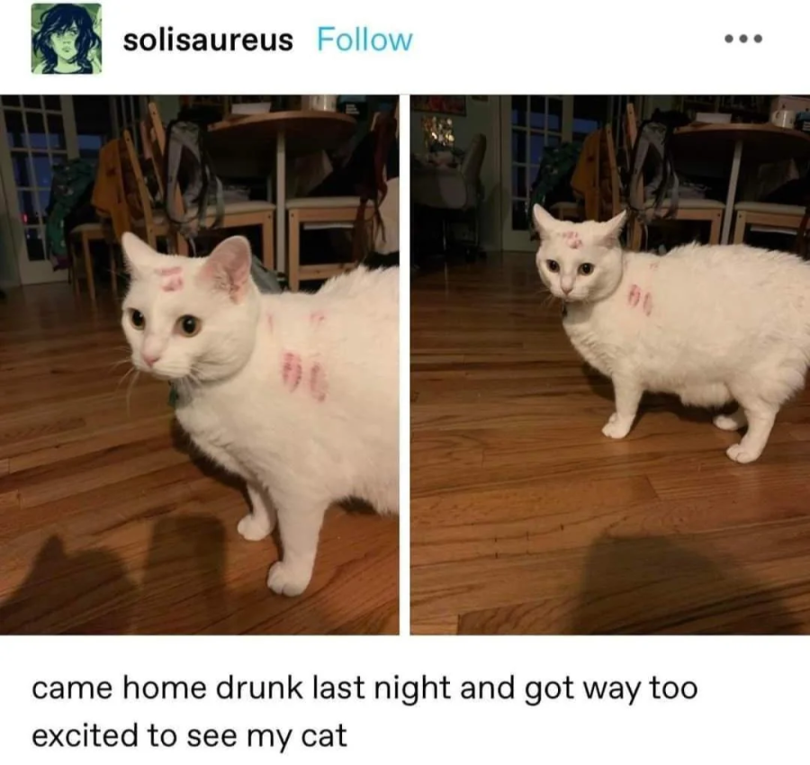 xRVT3Y9.png