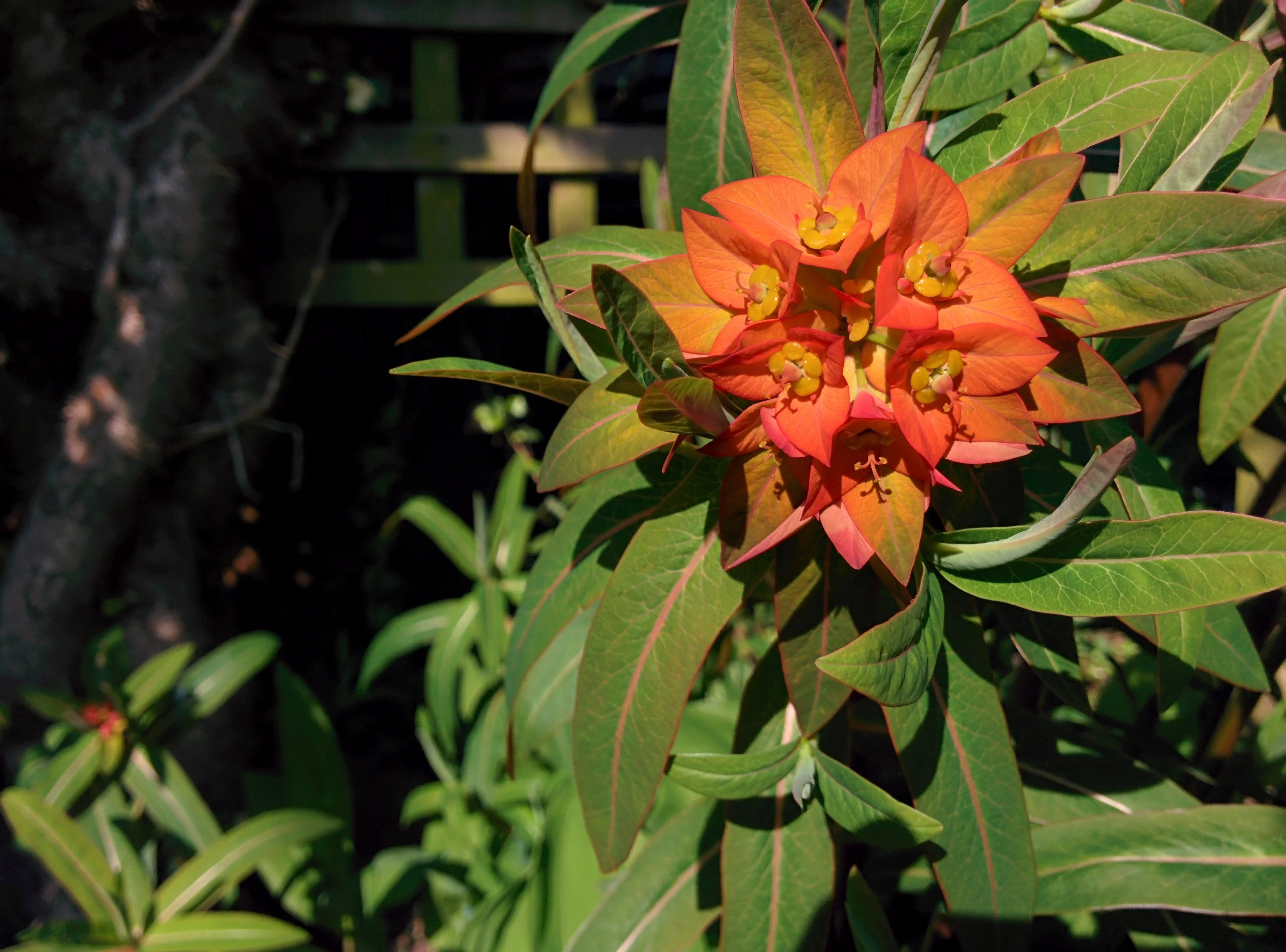 xTH467G.webp