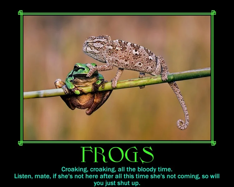 yOuqKgZ.webp