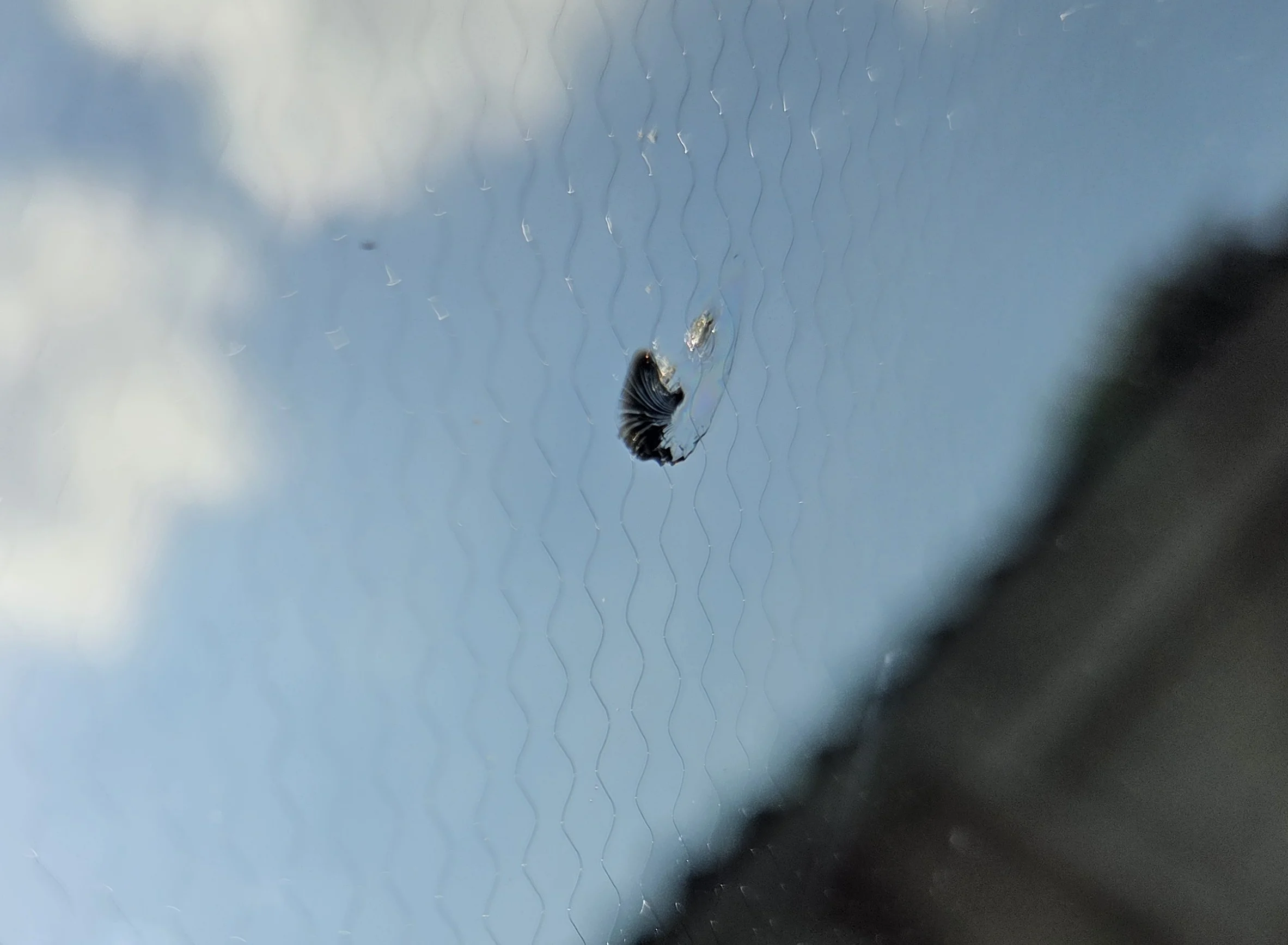ywJ7M6J.webp