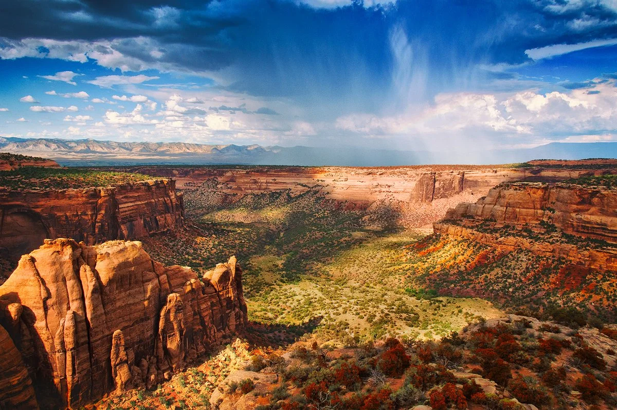 ZC97c8L.webp