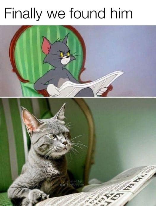 znUgnwZ.jpeg