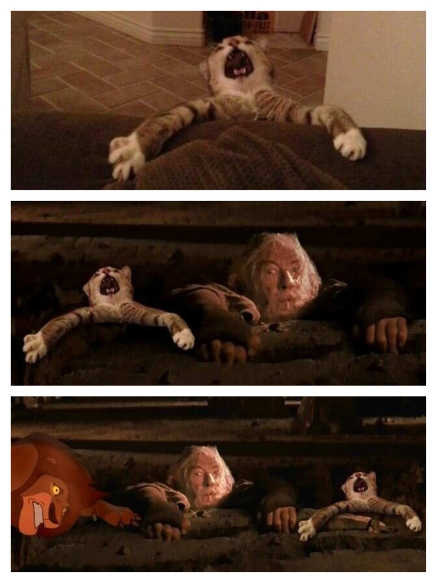 ZswlLPT.jpg