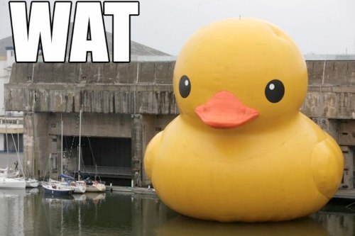 zvNqS.jpg