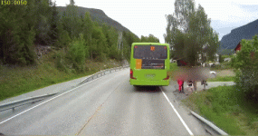 DbjJucV.gif